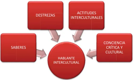 Figura 4: Características del hablante intercultural