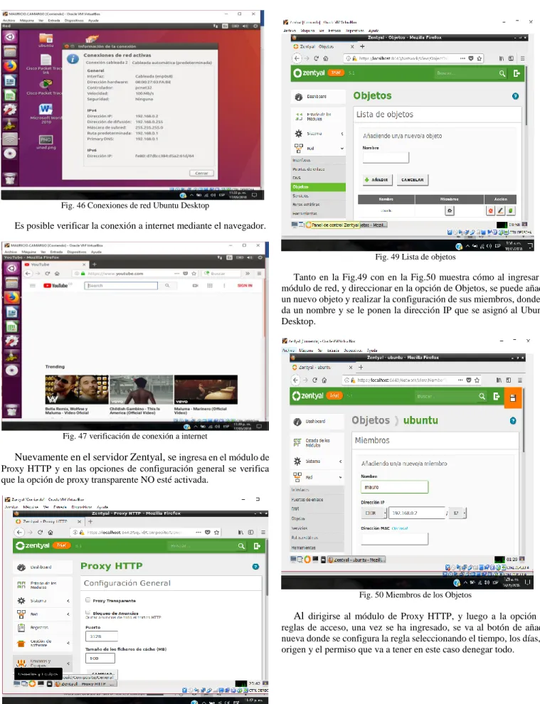 Fig. 47 verificación de conexión a internet 