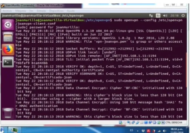 Fig. 35 Ejecución de comando para arrancar cliente VPN 