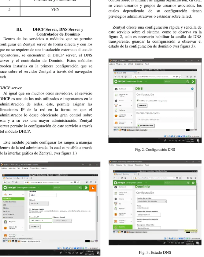 Fig. 2. Configuración DNS 