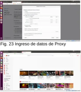 Fig. 24 Navegación de Proxy 