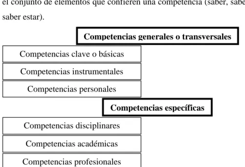 Figura 1: categorías de competencias 