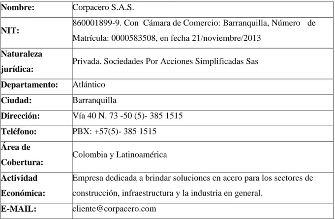 Tabla 1. Información general de la empresa. 
