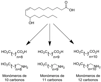 Figura 2.4. ω-Aminoácidos y ácidos dicarboxílicos obtenidos a partir del aceite 