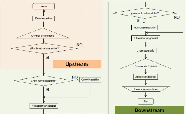 Figura 4. Diagrama de proceso en New-CMO 