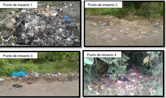 Figura 5. Imágenes ilustrativas de problemáticas de quema e incorrecta disposición  de residuos