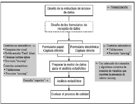 Figura 4: Fases y Controles Básicos de Calidad en la Gestión de Datos (modificada de Granero 1999)