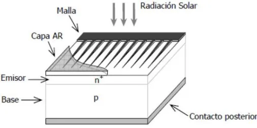 Figura 7.-  Estructura básica de una célula solar.