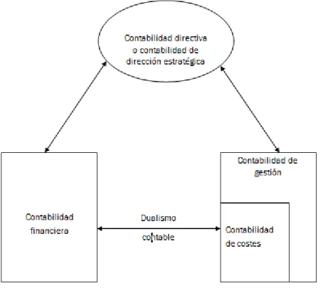 Figura 1.3: Estructura contable triangular 