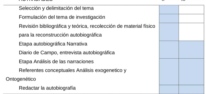 Tabla 1 Cronograma. 