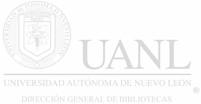 Figura Página 