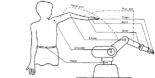 Figura 1.2 Correspondencia entre las articulaciones del brazo mecánico y el humano 