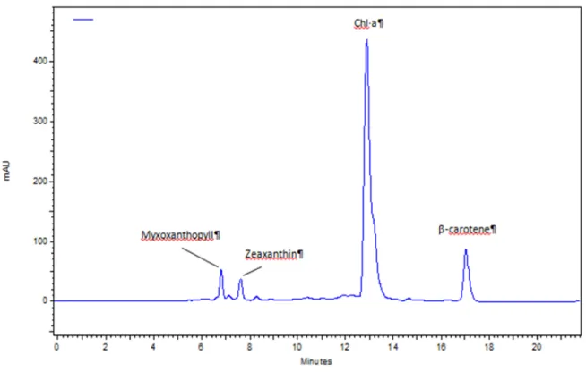 Figura I.14. Cromatogramas obtenidos mediante HPLC-DAD mostrando el perfil de pigmentos 