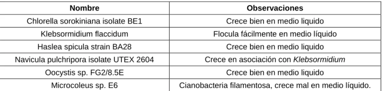 Tabla I.3. Nombre, género y observaciones de las microalgas aisladas de los suelos de la DO de Vinos 