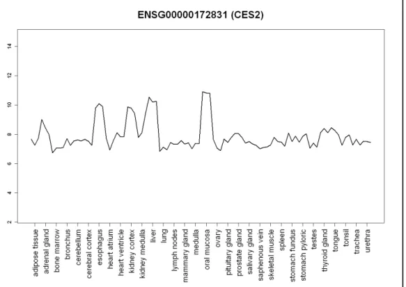 Figura 3.1. Ejemplo del perfil de expresión de un gen del dataset de Tejidos Humanos. 