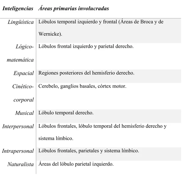 Tabla 1: Inteligencias y áreas cerebrales involucradas  Inteligencias  Áreas primarias involucradas 