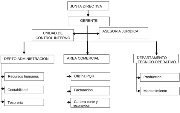 Figura 2.Organigrama de emcodazzi E.S.P. 
