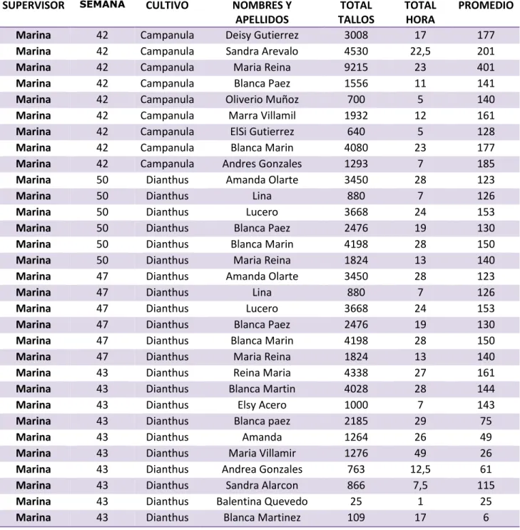 Tabla 3. Rendimiento Corte