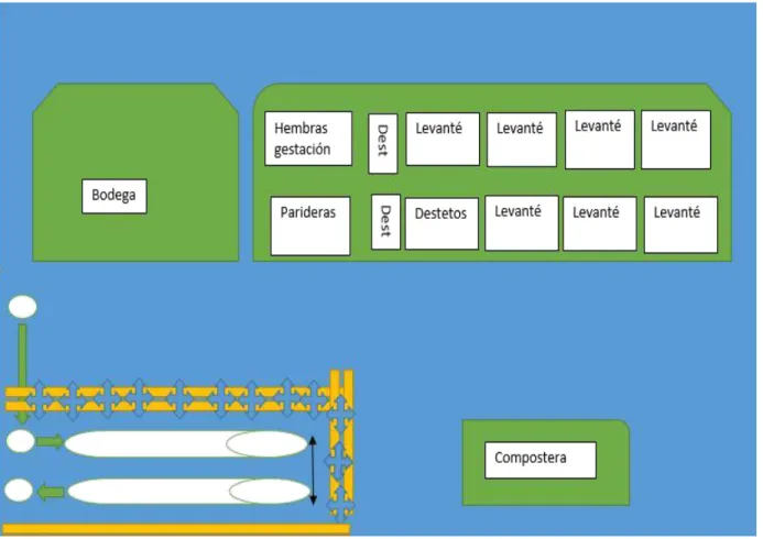 Figura 3 Proceso del Biodigestor realizada por Jhon Rojas  6. Fase 1 Selección del Biodigestor a implementar 