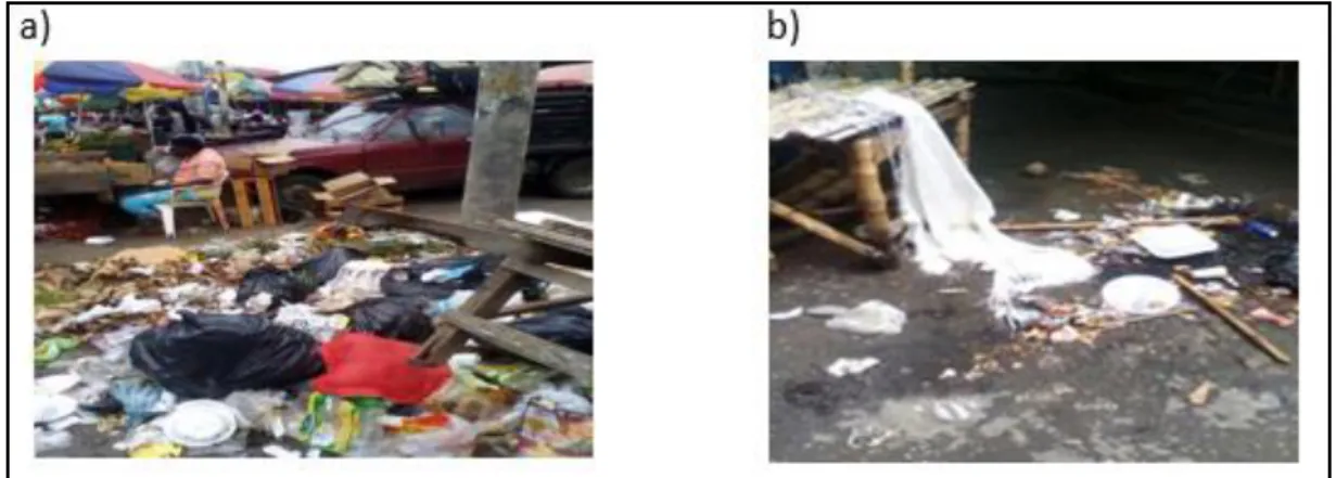 Figura 2: a. Residuos sin clasificar b. Residuos Incinerados. 