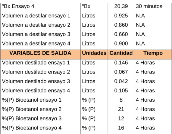 Tabla 8. Variables críticas. 