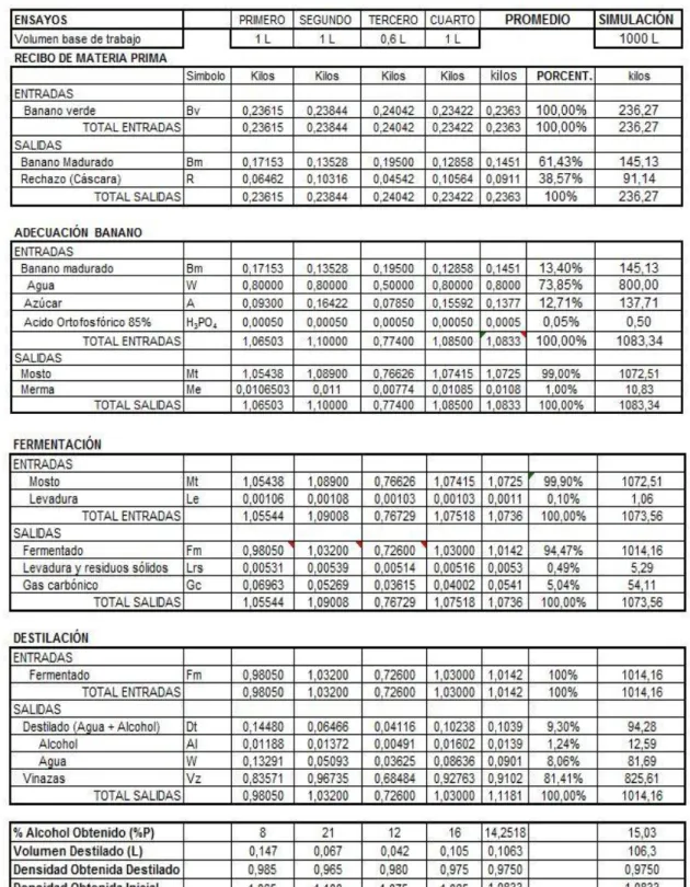 Tabla 16. Balance parcial global. 