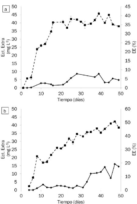 Figura  13:  Evolución  temporal  de  la  ectoína  extra-celular  (línea  continua,  ♦)  y  de    la  EE  (línea  discontinua, ■) en los  reactores  a) R1 y b) R2
