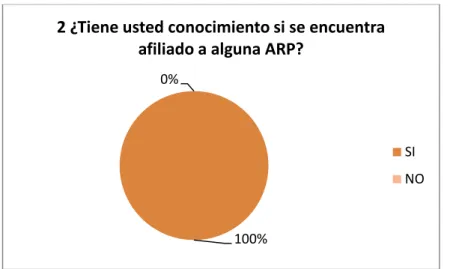 Gráfico N° 2 