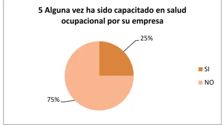 Gráfico N° 5 