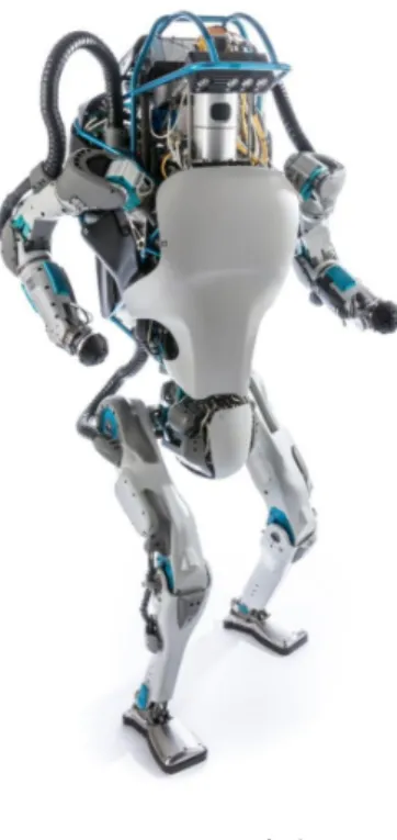 Figura 2.3: Atlas
