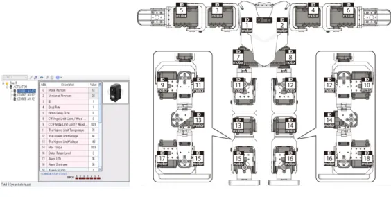 Figura 3.6: Instalación y montaje de los servomotores Dynamixel