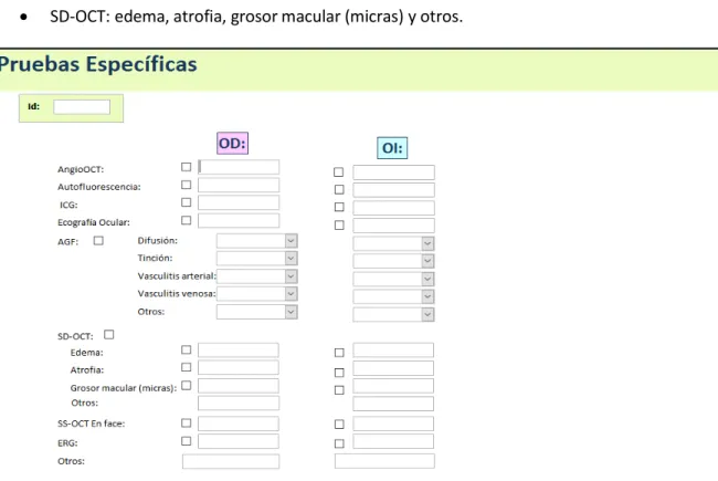 Figura 6. Formulario IV. Pruebas específicas 