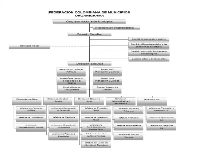 Figura 2 – Organigrama Federacion Colombiana de Municipios. 