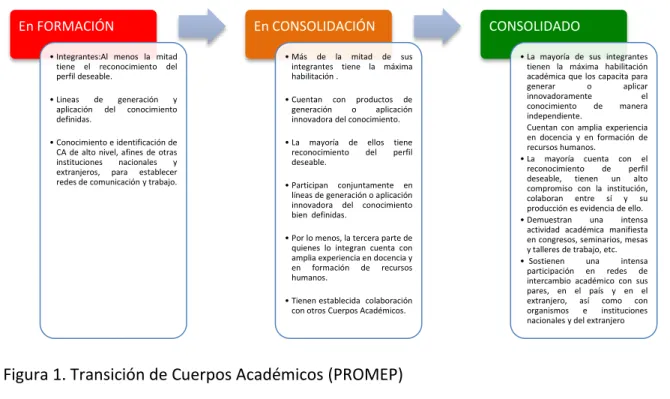 Figura 1. Transición de Cuerpos Académicos (PROMEP)  Fuente de información: Promep 