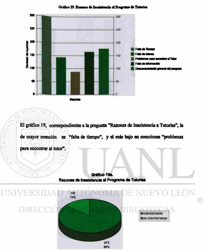 Gráfico 19a. 