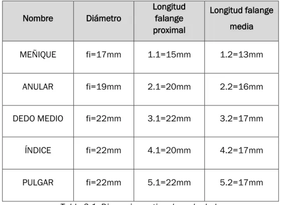 Tabla 3.1: Dimensiones tipo de cada dedo 