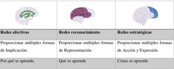 Tabla  1:  Relación  entre  las  redes  neuronales  y  los  principios  del  DUA  (Pastor,  2016) 