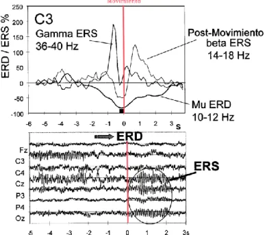 Figura 2-8. Señal EEG registrada antes y después de realizar un movimiento con el dedo índice de la 