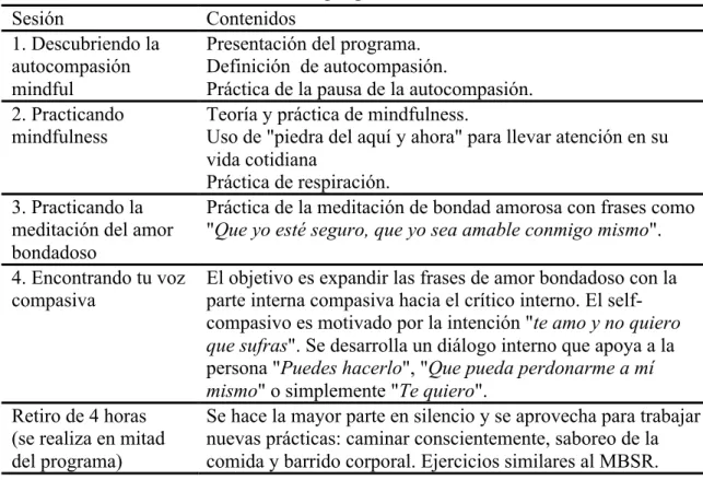 Tabla 9. Contenidos sesión a sesión del programa MSC 