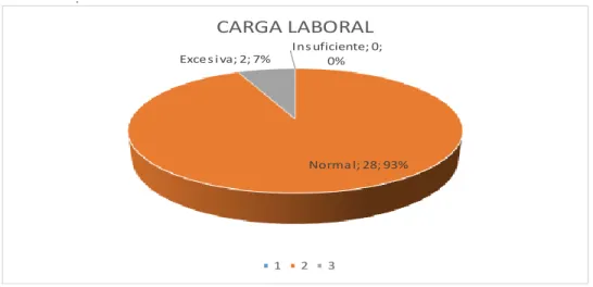 Figura 6 Carga Laboral