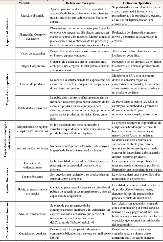 Tabla 2.  Definición conceptual y operativa de Variables 