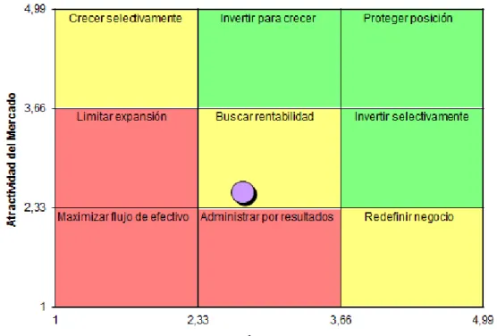 Tabla 13. Matriz de McKinsey 