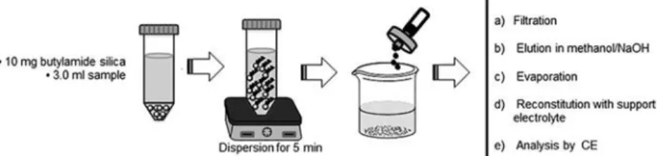 Figure  2b  for  butylamide  silica  solid  shows  a  band  at  1650– 