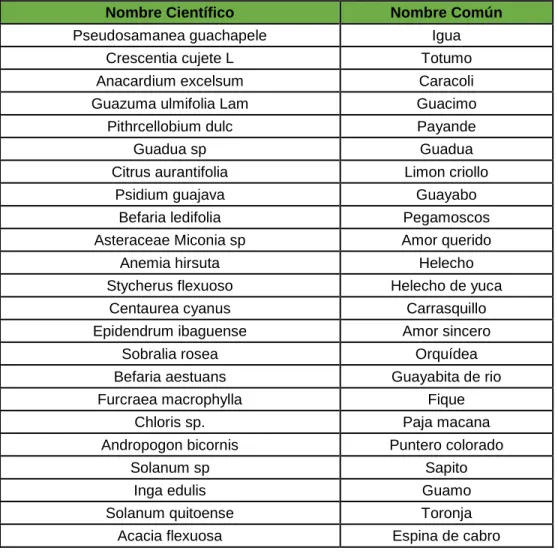 Tabla 7.  Vegetación Nativa   