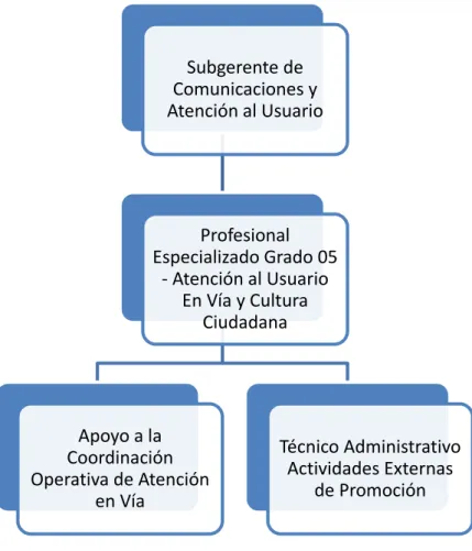 Ilustración 3. Estructura Interna Atención al Usuario en Vía TRANSMILENIO S.A. 