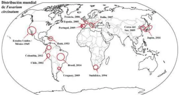 Figura 1. Distribución mundial de Fusarium circinatum. Fuente: (Flores-Pacheco, 2017).