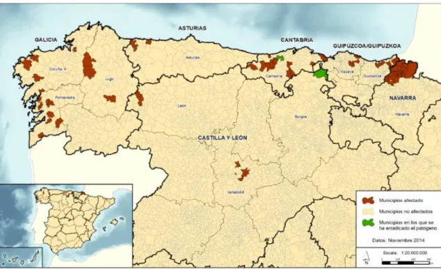 Figura 2. Distribución de la enfermedad del Chancro Resinoso del Pino en España. En marrón,  municipios  en  los  cuales  F