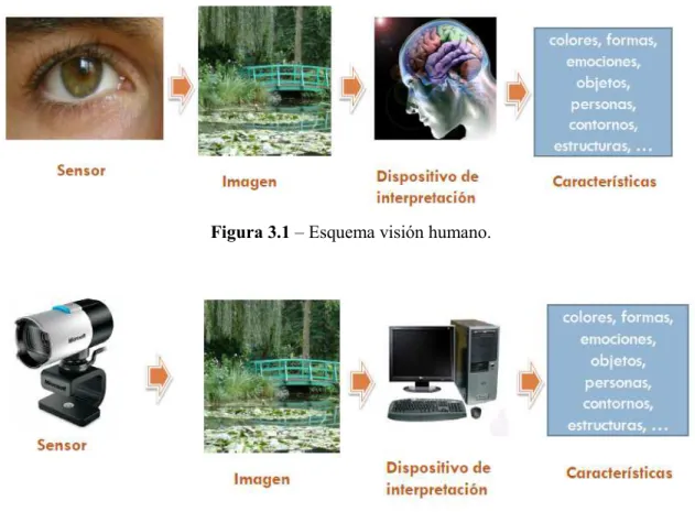 Figura 3.1 – Esquema visión humano. 
