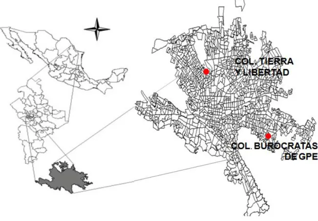 Fig. 3.1. Casos de estudio ubicados en el Área Metropolitana de Monterrey. Fuente: Propia