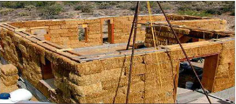 Figura 3. Casas de paja